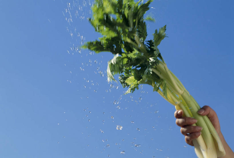 东方人,手,一个人,举,横图,室外,特写,白天,仰视,水,芹菜,蔬菜,亚洲,仅一个男性,仅一个人,握,阴影,飞溅,新鲜,溅,光线,液体,影子,水滴,食品,拿,拿着,黄种人,水珠,食物,仅一个年轻男性,蓝色,蓝天,天空,阳光,天,托,手部,握着,有机食品,绿色食品,晴朗,单手,喷洒,万里无云,男人,男性,年轻男性,亚洲人,晴空,晴空万里,药芹,水芹,旱芹,举起,举手,举着,向上举,向上伸,向上托,半身,彩图,低角度拍摄