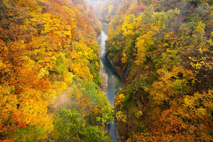 无人,横图,室外,白天,正面,旅游,度假,美景,瀑布,秋季,森林,山,山脉,树林,水,植物,秋田县,日本,亚洲,阴影,飞溅,溅,光线,液体,影子,景观,山峰,水滴,山峦,娱乐,水珠,树,树木,绿色,阳光,自然,群山,享受,休闲,景色,放松,生长,成长,喷洒,自然风光,东亚,本州,本州岛,日本国,秋田,东北地方,汤泽,汤泽市,跌水,秋,秋天,彩图