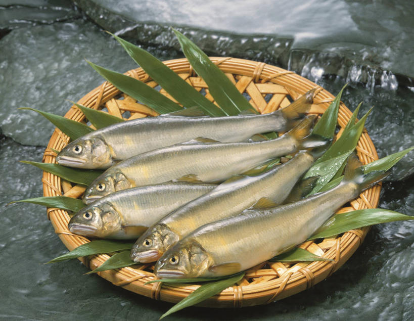 无人,躺,交叉,横图,俯视,室外,白天,河流,石头,美景,水,植物,竹子,叶子,一排,阴影,竹制,整齐,并列,并排,编织,光线,鱼,篮子,石子,纹理,影子,河水,景观,水流,绿叶,香鱼,水产,鱼类,排列,一个,绿色,小溪,阳光,自然,竹篮,溪水,嫩叶,景色,五条,单个,竹条,交织,死亡,竹制品,队列,自然风光,水生动物,平行,水生物,肌理,殒命,灭亡,穿插,瓜鱼,香油鱼,卧着,叶,叶片,叶脉,石块,岩石,躺着,卧,彩图,高角度拍摄,全身,淡水生物,河鲜