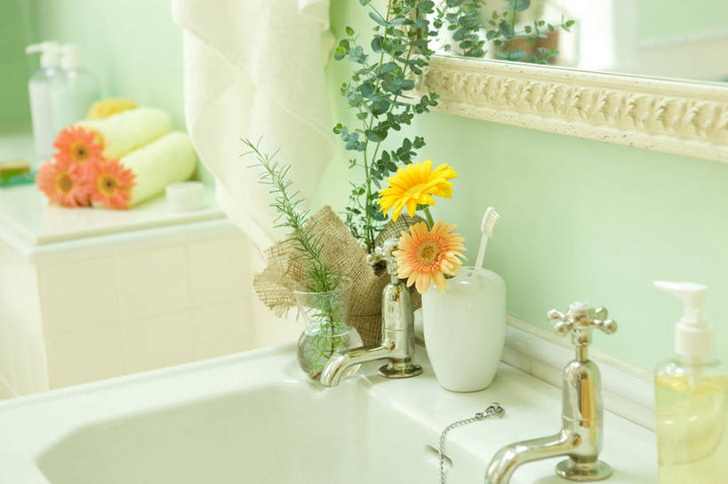 无人,横图,室内,白天,正面,智慧,镜子,卫生间,浴室,叶子,朦胧,模糊,艺术,盛开,纺织物,水槽,水龙头,墙,绿叶,非洲菊,花蕾,文化,水斗,开关,墙壁,墙面,花,花瓣,花朵,鲜花,插花,毛巾,花苞,花蕊,打开,清洁,嫩叶,菊花,保暖,插花艺术,阀门,镜像,迷迭香,创造,开启,镜面,创作,想象,透气,防水,扶郎花,灯盏花,千日菊,海洋之露,水咀,储水,耐磨,吸水,淋浴房,叶,叶片,彩图,冲凉房,沐浴间,沐浴室