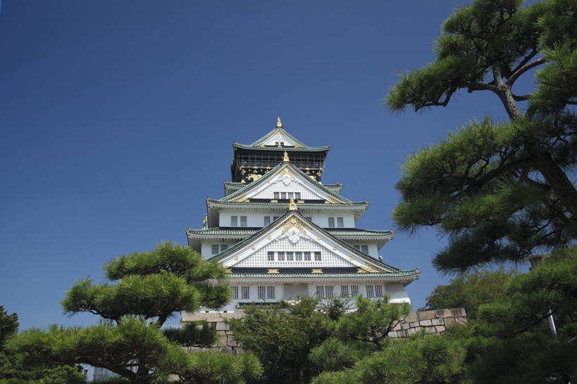 无人,公园,横图,室外,白天,仰视,旅游,度假,名胜古迹,植物,标志建筑,地标,建筑,松树,日本,亚洲,阴影,遗迹,光线,影子,堡垒,城堡,中央区,古迹,文物,娱乐,建设,古建筑,树,树木,蓝色,绿色,蓝天,天空,阳光,自然,天,享受,休闲,旅游胜地,放松,大阪,大阪城公园,生长,晴朗,成长,要塞,坚定,古文明,东亚,本州,万里无云,大阪府,本州岛,日本国,近畿地方,大阪城,近畿,长寿,贞洁,设防,晴空,晴空万里,彩图,低角度拍摄