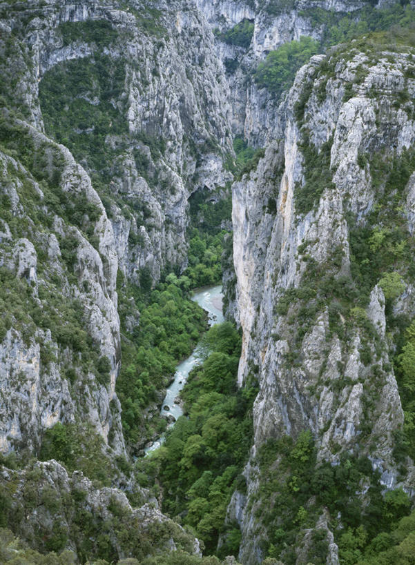 无人,竖图,俯视,室外,白天,旅游,度假,石头,美景,森林,山,山脉,树林,植物,法国,欧洲,石子,景观,山峰,悬崖,山峦,娱乐,树,树木,绿色,自然,群山,享受,休闲,景色,放松,生长,成长,西欧,法兰西,自然风光,法兰西共和国,法兰西第五共和国,绝壁,奥弗涅,奥弗涅大区,石块,岩石,彩图,高角度拍摄