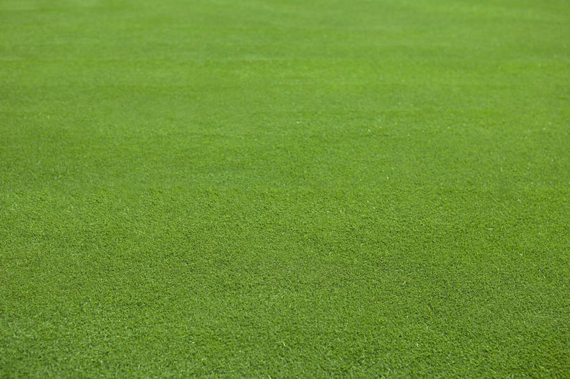 无人,横图,俯视,室外,白天,旅游,度假,草地,草坪,美景,植物,静冈县,日本,亚洲,新鲜,景观,娱乐,草,绿色,自然,享受,休闲,景色,放松,青春,生命,自然风光,和平,安详,东亚,本州,本州岛,日本国,中部地方,静冈,冷色,彩图,高角度拍摄