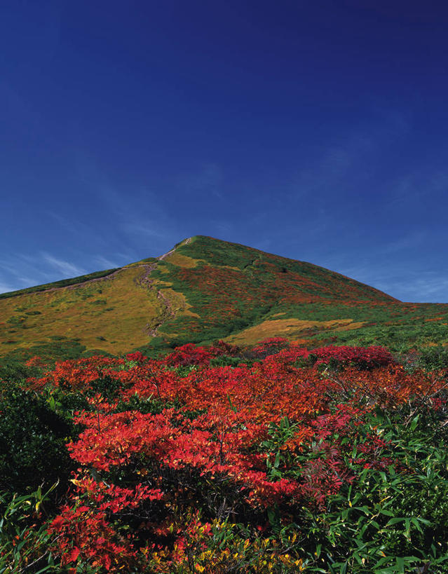 无人,竖图,室外,白天,仰视,旅游,度假,火山,美景,秋季,森林,山,山脉,树林,植物,秋田县,日本,亚洲,阴影,光线,影子,景观,山峰,云,云朵,山峦,云彩,娱乐,树,树木,蓝色,绿色,白云,蓝天,天空,阳光,自然,群山,天,享受,休闲,景色,放松,生长,晴朗,成长,自然风光,东亚,本州,本州岛,日本国,宫城,宫城县,秋田,岩手,岩手县,东北地方,栗驹山,晴空,秋,秋天,彩图,低角度拍摄