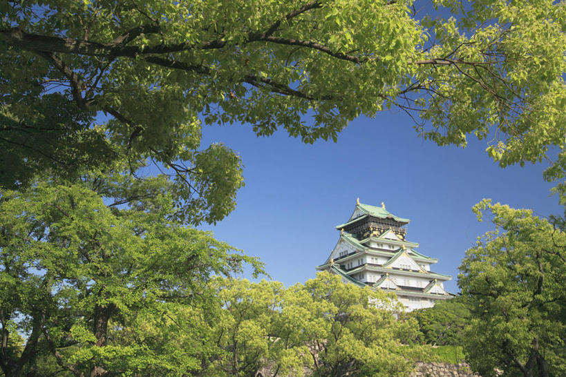 无人,公园,横图,室外,白天,仰视,旅游,度假,名胜古迹,树林,植物,标志建筑,地标,建筑,日本,亚洲,阴影,遗迹,光线,影子,堡垒,城堡,屋顶,中央区,顶棚,古迹,文物,娱乐,建设,古建筑,树,树木,蓝色,绿色,蓝天,天空,阳光,自然,天,享受,休闲,旅游胜地,放松,大阪,大阪城公园,生长,晴朗,成长,要塞,古文明,东亚,本州,万里无云,大阪府,本州岛,日本国,近畿地方,大阪城,近畿,设防,晴空,晴空万里,彩图,低角度拍摄