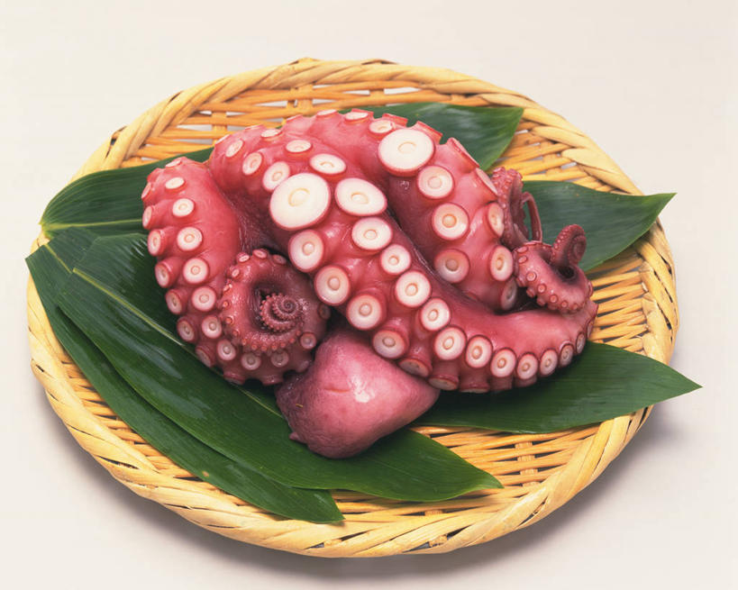 海鲜,无人,横图,俯视,室内,特写,白天,章鱼,叶子,一堆,许多,阴影,堆叠,堆积,灰色背景,反射,扁担,影子,绿叶,很多,水产,海洋生物,嫩叶,摄影,影棚,堆,石吸,死牛,望潮,坐蛸,水生动物,海产品,水生物,海底动物,农具,竹木用具,叶,叶片,石居,八爪鱼,彩图,高角度拍摄,影棚拍摄,拍摄