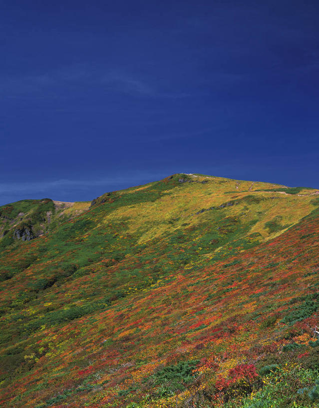 无人,竖图,室外,白天,正面,旅游,度假,草地,草坪,火山,美景,山,山脉,植物,秋田县,日本,亚洲,阴影,光线,影子,景观,山峰,山峦,娱乐,草,树,树木,蓝色,绿色,蓝天,天空,阳光,自然,群山,天,享受,休闲,景色,放松,生长,晴朗,成长,自然风光,东亚,本州,万里无云,本州岛,日本国,宫城,宫城县,秋田,岩手,岩手县,东北地方,栗驹山,晴空,晴空万里,彩图