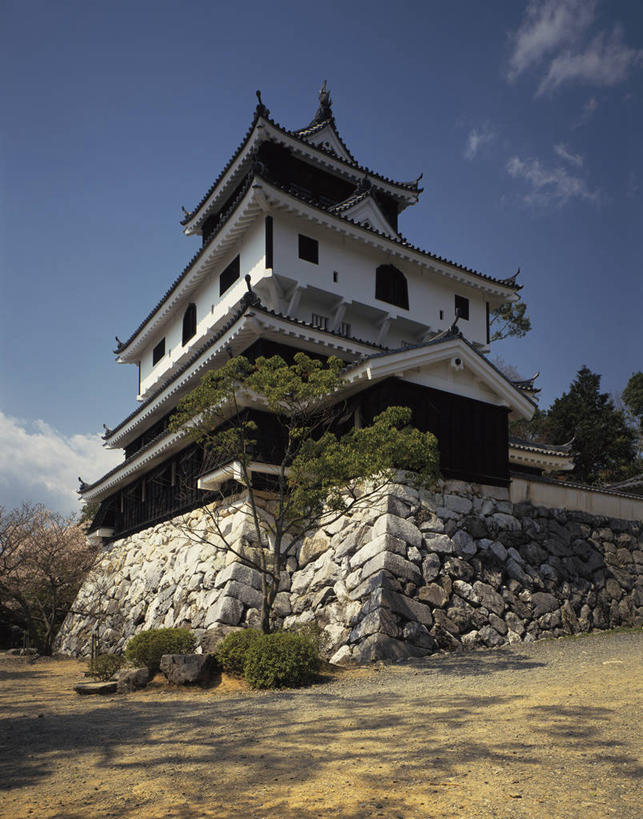 无人,竖图,室外,白天,仰视,旅游,度假,名胜古迹,树林,植物,标志建筑,地标,建筑,日本,亚洲,阴影,遗迹,光线,瓦片,影子,堡垒,城堡,屋顶,云,云朵,云彩,顶棚,瓦,古迹,文物,娱乐,建设,古建筑,树,树木,蓝色,绿色,白云,蓝天,天空,阳光,自然,天,享受,休闲,旅游胜地,放松,建造,生长,晴朗,成长,要塞,古文明,东亚,屋瓦,本州,本州岛,日本国,中国地方,山口,山口县,岩国城,设防,晴空,彩图,低角度拍摄,岩国,岩国市