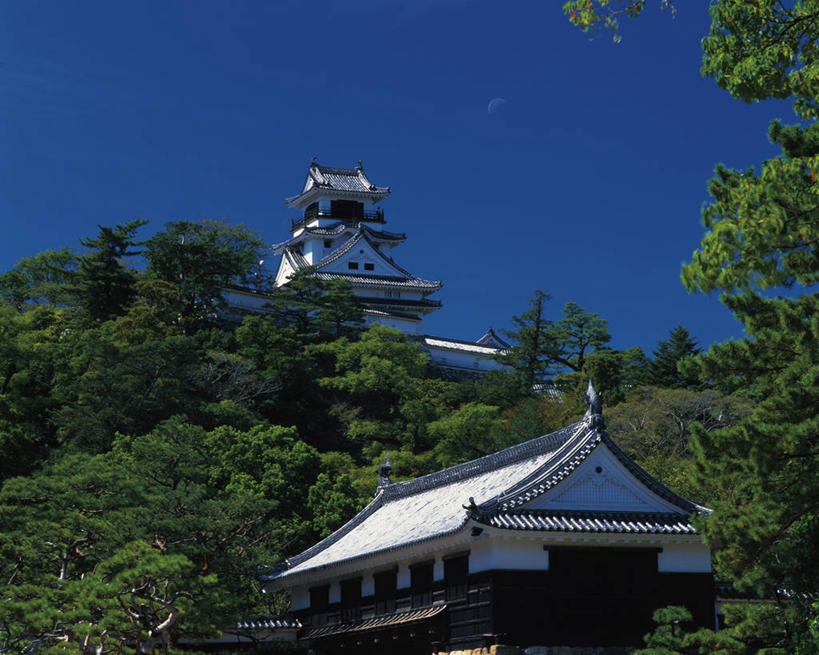 无人,横图,室外,白天,仰视,旅游,度假,名胜古迹,植物,标志建筑,地标,建筑,日本,亚洲,阴影,遗迹,光线,影子,堡垒,城堡,古迹,文物,娱乐,建设,古建筑,树,树木,蓝色,绿色,蓝天,天空,阳光,自然,天,享受,休闲,旅游胜地,放松,生长,晴朗,成长,要塞,古文明,东亚,万里无云,高知城,高知,日本国,高知县,四国地方,四国,四国岛,设防,晴空,晴空万里,彩图,低角度拍摄