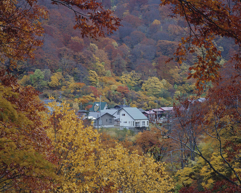 无人,家,横图,俯视,室外,白天,旅游,度假,美景,秋季,森林,山,山脉,树林,植物,秋田县,日本,亚洲,阴影,光线,影子,房屋,屋子,景观,山峰,山峦,娱乐,楼房,住宅,树,树木,绿色,阳光,自然,群山,享受,休闲,景色,放松,生长,成长,自然风光,东亚,本州,本州岛,日本国,秋田,东北地方,汤泽,汤泽市,秋,秋天,彩图,高角度拍摄,房子