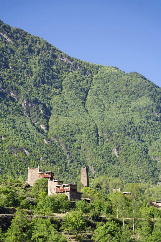 无人,竖图,室外,白天,正面,旅游,度假,美景,森林,山,山脉,树林,植物,中国,亚洲,阴影,光线,影子,景观,山峰,山峦,娱乐,树,树木,蓝色,绿色,蓝天,天空,阳光,自然,瞭望塔,群山,天,享受,休闲,景色,放松,四川省,生长,晴朗,成长,自然风光,东亚,四川,万里无云,中华人民共和国,西南地区,川,晴空,晴空万里,彩图