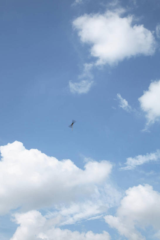 无人,竖图,室外,白天,仰视,游戏,玩具,东京,日本,亚洲,阴影,光线,影子,云,云朵,玩,云彩,娱乐,一个,蓝色,白云,蓝天,天空,阳光,天,休闲,益智,晴朗,单个,活动,飞行器,发泄,消遣,智力,东亚,竹蜻蜓,本州,关东地方,本州岛,日本国,东京都,宣泄,晴空,玩耍,嬉戏,彩图,低角度拍摄