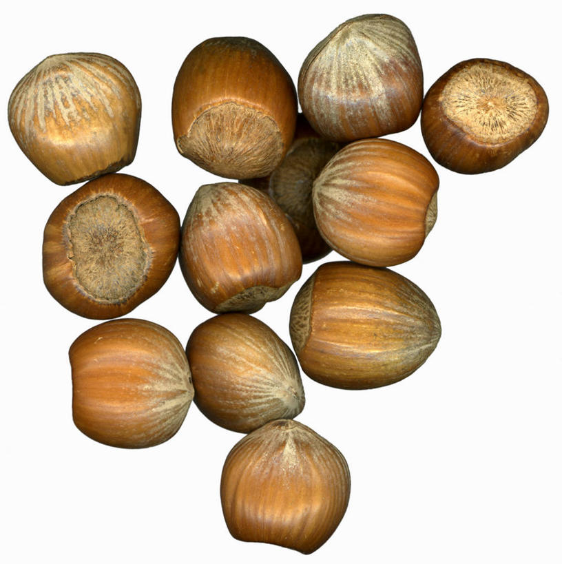 无人,竖图,俯视,室内,特写,白天,白色背景,餐桌,桌子,一堆,许多,阴影,堆叠,堆积,反射,影子,坚果,果实,干果,摄影,影棚,餐台,堆,榛子,山板栗,彩图,高角度拍摄,影棚拍摄,拍摄