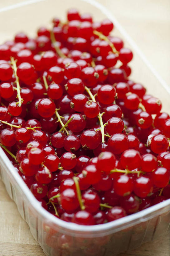 无人,竖图,俯视,室内,特写,白天,桌面,桌子,浆果,水果,一堆,许多,阴影,堆叠,堆积,朦胧,模糊,新鲜,反射,木制,影子,塑料,灯笼果,生食,食品,果实,很多,盒子,食物,一个,木制品,容器,塑料制品,摄影,有机食品,绿色食品,影棚,单个,储藏,堆,储存,红醋栗,醋栗,彩图,高角度拍摄,影棚拍摄,拍摄,贮存