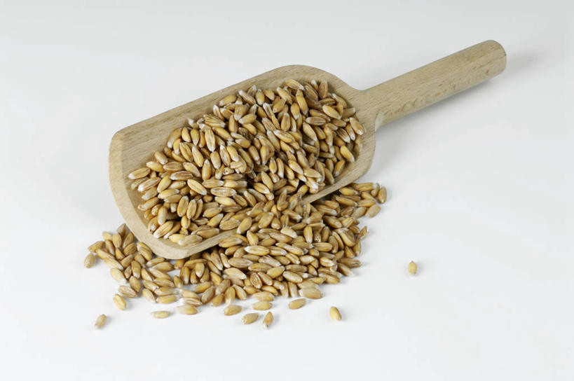 无人,横图,俯视,室内,特写,白天,白色背景,农作物,小麦,桌面,桌子,一堆,许多,阴影,堆叠,堆积,反射,木制,影子,勺子,谷物,很多,木制品,调羹,汤匙,摄影,麦子,影棚,堆,彩图,高角度拍摄,影棚拍摄,拍摄