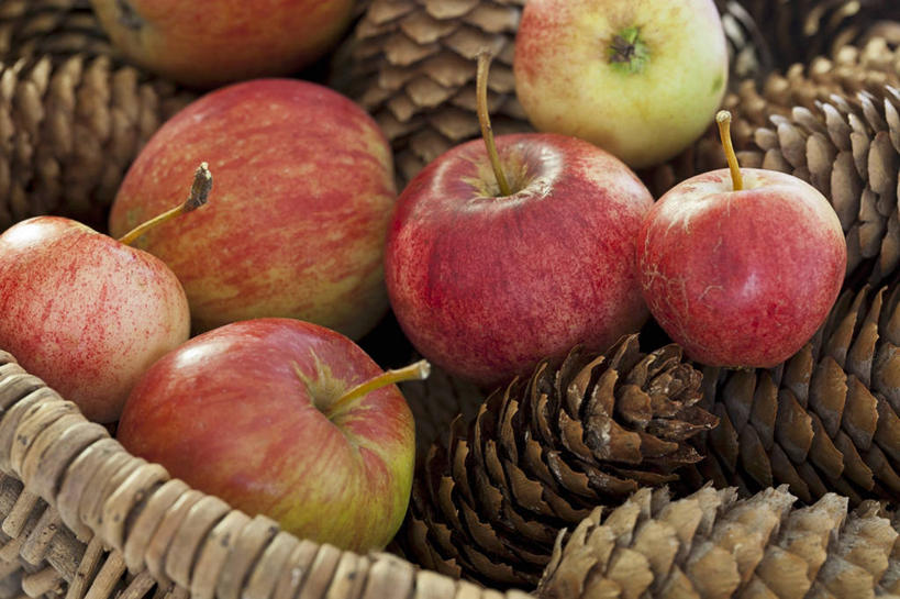 无人,交叉,横图,俯视,室内,特写,白天,餐桌,桌子,竹子,苹果,水果,一堆,许多,阴影,堆叠,堆积,竹制,新鲜,编织,反射,篮子,影子,生食,食品,坚果,果实,松果,很多,食物,一个,竹篮,干果,有机食品,绿色食品,单个,餐台,竹条,堆,交织,竹制品,松塔,穿插,彩图,高角度拍摄