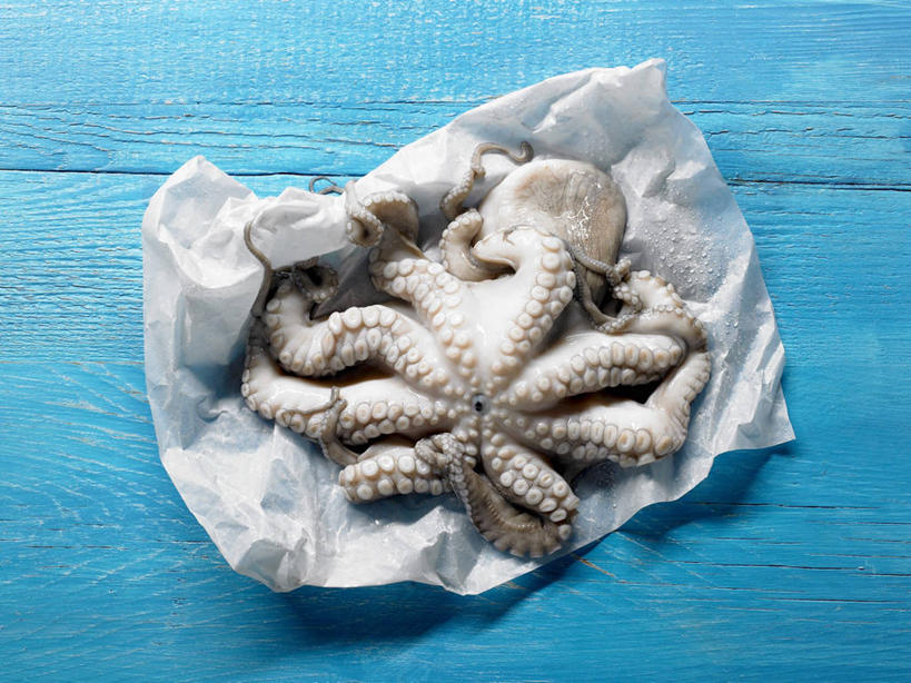 海鲜,无人,横图,俯视,室内,特写,白天,桌面,桌子,章鱼,阴影,蓝色背景,反射,木制,包装,包装纸,影子,纸,纸张,水产,海洋生物,一个,木制品,摄影,影棚,单个,石吸,死牛,望潮,坐蛸,包装材料,牛皮纸,水生动物,海产品,水生物,海底动物,石居,八爪鱼,彩图,高角度拍摄,全身,影棚拍摄,拍摄