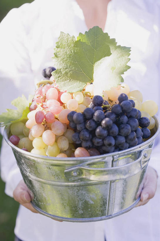 西方人,手,一个人,站,捧,竖图,室内,特写,白天,正面,草地,草坪,植物,葡萄,水果,叶子,欧洲,欧洲人,双手,仅一个年轻女性,仅一个女性,仅一个人,阴影,服装,朦胧,模糊,新鲜,反射,铁桶,桶,影子,生食,食品,果实,绿叶,休闲装,草,食物,一个,衣服,绿色,紫色,白色,容器,站着,休闲,手部,休闲服,嫩叶,服饰,有机食品,绿色食品,单个,储藏,储存,年轻女性,女人,女性,白种人,叶,叶片,山葫芦,蒲桃,草龙珠,端,端着,捧着,手捧,站立,半身,彩图,贮存