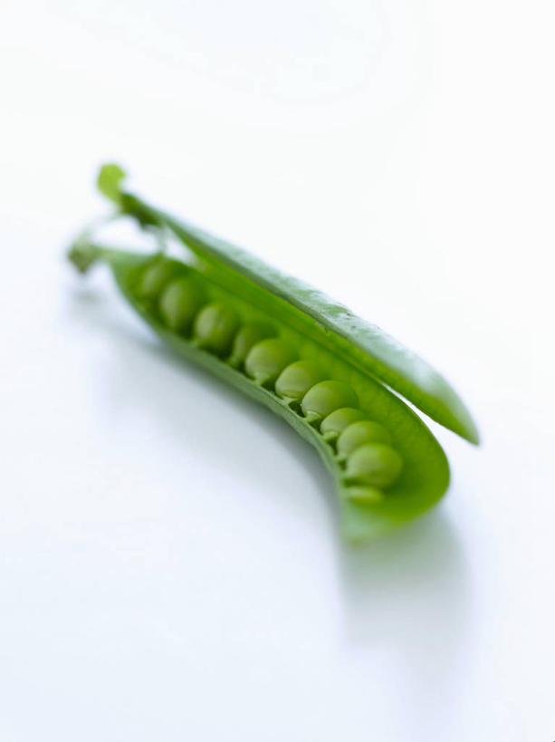 无人,竖图,俯视,室内,特写,白天,白色背景,植物,餐桌,桌子,蔬菜,阴影,新鲜,反射,影子,豆类,豆子,豌豆,食品,荷兰豆,食物,一个,绿色,摄影,有机食品,绿色食品,影棚,单个,餐台,雪豆,豆科,寒豆,毕豆,麻累,国豆,小寒豆,麦豌豆,彩图,高角度拍摄,影棚拍摄,拍摄