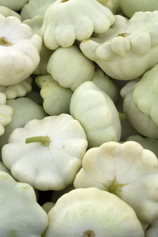 无人,竖图,俯视,室内,特写,白天,南瓜,蔬菜,一堆,许多,阴影,堆叠,堆积,新鲜,反射,影子,金瓜,食品,番瓜,食物,摄影,有机食品,绿色食品,影棚,堆,麦瓜,倭瓜,彩图,高角度拍摄,影棚拍摄,拍摄