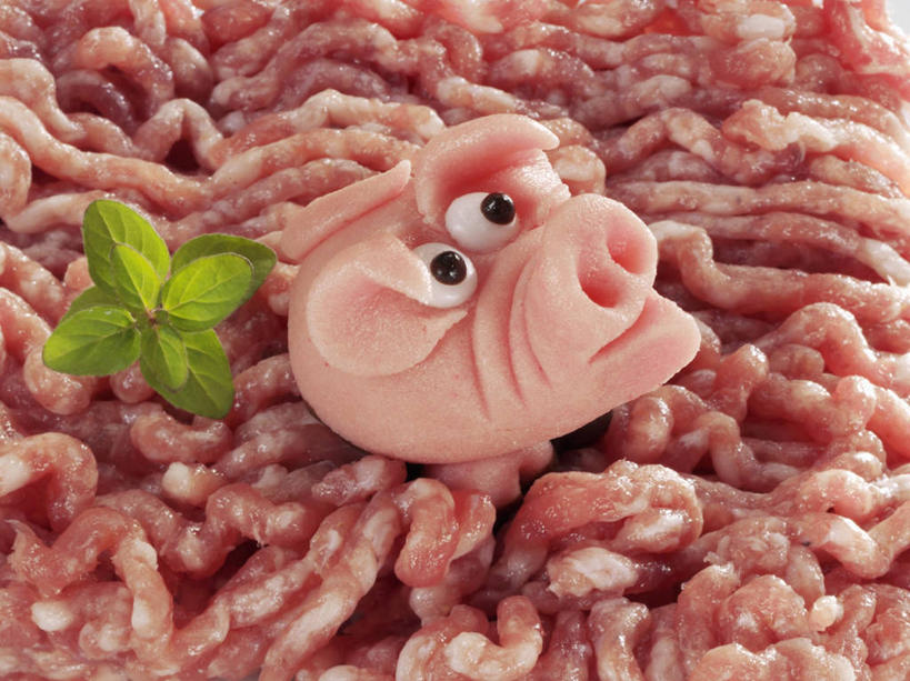 无人,横图,俯视,室内,特写,白天,餐桌,桌子,猪,叶子,阴影,装饰,反射,影子,肉,绿叶,注视,猪肉,肉类,动物,观察,看,嫩叶,家畜,摄影,牲畜,影棚,餐台,观看,华丽,修饰,点缀,察看,关注,肉食,豚肉,衬托,美观,雅致,雅观,叶,叶片,彩图,高角度拍摄,影棚拍摄,拍摄