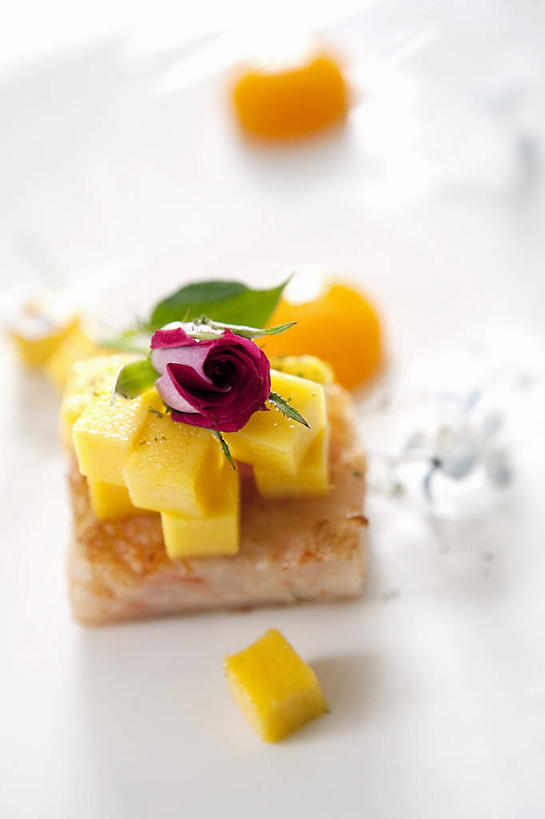 无人,竖图,俯视,室内,特写,白天,白色背景,烹饪,中餐,餐桌,桌子,芒果,水果,阴影,朦胧,模糊,新鲜,反射,影子,生食,虾,料理,食品,果实,菜肴,美食,大虾,食物,中式,摄影,佳肴,有机食品,绿色食品,影棚,对虾,餐台,斑节虾,东方对虾,中国对虾,望果,蜜望,檬果,闷果,漭果,杧果,庵波罗果,彩图,高角度拍摄,影棚拍摄,拍摄