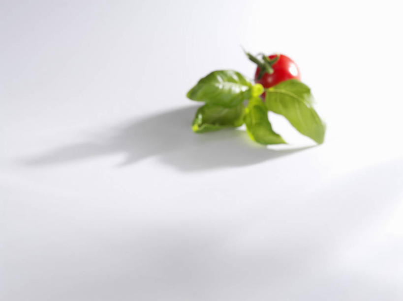 无人,横图,俯视,室内,特写,白天,白色背景,植物,桌面,桌子,蔬菜,西红柿,小番茄,叶子,阴影,朦胧,模糊,新鲜,反射,木制,影子,香料,食品,绿叶,草药,中药,食物,一个,红色,木制品,香草,嫩叶,摄影,有机食品,绿色食品,影棚,单个,罗勒,紫苏,药材,中草药,九层塔,圣约瑟夫草,甜罗勒,兰香,中药材,本草,小西红柿,樱桃小番茄,珍珠小番茄,叶,叶片,樱桃番茄,圣女果,番茄,彩图,高角度拍摄,影棚拍摄,拍摄