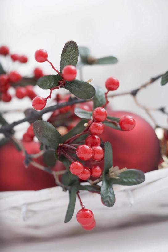 无人,交叉,竖图,俯视,室内,特写,白天,白色背景,桌面,桌子,竹子,叶子,圣诞节,阴影,竹制,节日,朦胧,模糊,庆祝,装饰,编织,反射,木制,挂饰,篮子,影子,绿叶,圣诞球,文化,球,木制品,竹篮,庆典,球体,嫩叶,摄影,影棚,纪念,竹条,华丽,修饰,交织,点缀,竹制品,衬托,美观,雅致,雅观,穿插,叶,叶片,彩图,高角度拍摄,影棚拍摄,拍摄