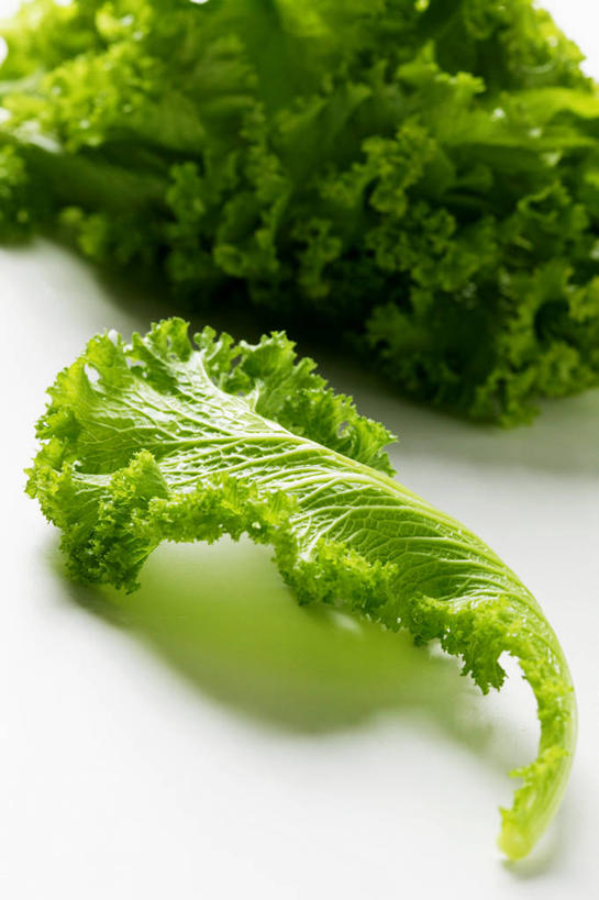 无人,竖图,俯视,室内,特写,白天,白色背景,桌面,桌子,蔬菜,椰菜,卷心菜,叶子,阴影,新鲜,反射,木制,影子,食品,绿叶,食物,木制品,嫩叶,甘蓝,摄影,有机食品,绿色食品,影棚,叶,叶片,结球甘蓝,甘兰,包心菜,彩图,高角度拍摄,影棚拍摄,拍摄