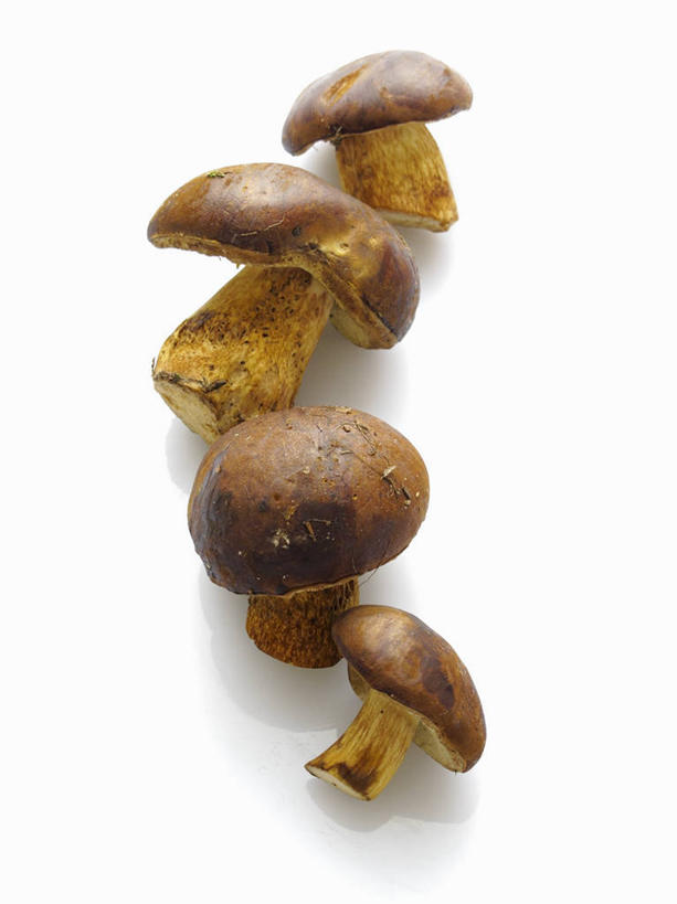 无人,竖图,俯视,室内,特写,白天,白色背景,蔬菜,一排,阴影,新鲜,整齐,反射,影子,菌菇,蘑菇,食品,菌类,食物,排列,四个,食用菌,摄影,有机食品,绿色食品,影棚,队列,彩图,高角度拍摄,影棚拍摄,拍摄