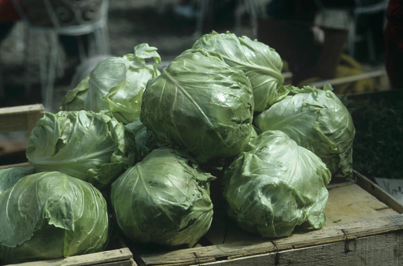 无人,菜场,横图,俯视,室内,特写,白天,购物,消费,蔬菜,椰菜,卷心菜,一堆,许多,堆叠,堆积,新鲜,包装,纸箱,食品,集市,市场,很多,食物,容器,箱子,甘蓝,金融,有机食品,绿色食品,堆,纸板箱,选购,贸易,包装箱,菜市,结球甘蓝,甘兰,包心菜,彩图,高角度拍摄,菜市场