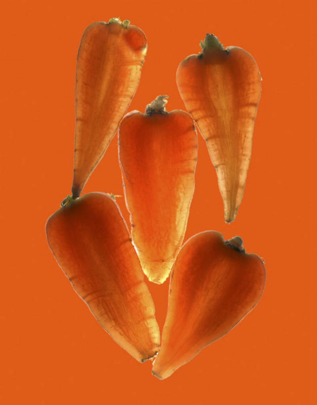 无人,竖图,俯视,室内,特写,白天,桌面,桌子,萝卜,胡萝卜,蔬菜,五个,许多,橙色背景,阴影,新鲜,反射,木制,影子,食品,食物,木制品,摄影,有机食品,绿色食品,影棚,红萝卜,甘荀,彩图,高角度拍摄,影棚拍摄,拍摄