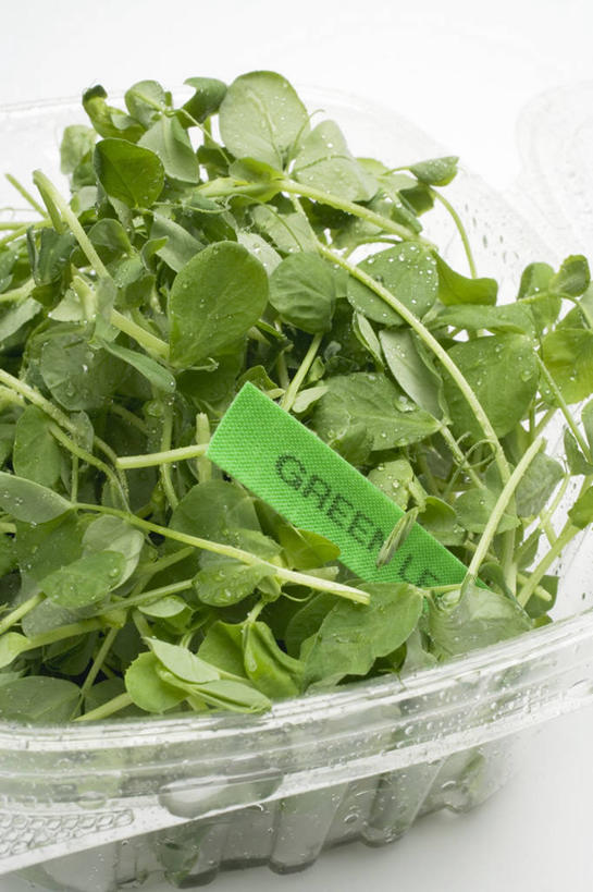 无人,竖图,俯视,室内,特写,白天,白色背景,餐桌,桌子,蔬菜,叶子,一堆,阴影,堆叠,堆积,新鲜,反射,英文,标志,文字,影子,字符,塑料,字母,生食,蔬菜沙拉,沙拉,食品,绿叶,色拉,标识,沙律,食物,一个,绿色,容器,塑料制品,碗,嫩叶,摄影,有机食品,绿色食品,影棚,单个,餐台,色拉酱,储藏,堆,英文字母,储存,千岛酱,叶,叶片,彩图,高角度拍摄,影棚拍摄,拍摄,贮存