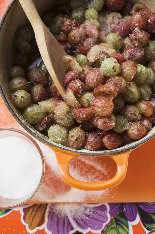 无人,竖图,俯视,室内,特写,白天,烹饪,餐桌,桌子,浆果,厨具,水果,金属制品,一堆,许多,阴影,堆叠,堆积,新鲜,反射,金属,木制,锅子,影子,勺子,灯笼果,调料,生食,食品,糖,果实,调味品,很多,调味料,锅,食物,两个,木制品,调羹,汤匙,有机食品,绿色食品,餐台,锅具,堆,红醋栗,烹饪用具,烹调用具,醋栗,烹调,彩图,高角度拍摄