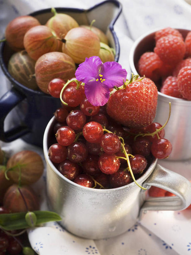 无人,竖图,俯视,室内,特写,白天,餐桌,桌子,草莓,浆果,葡萄,水果,金属制品,一堆,许多,阴影,堆叠,堆积,新鲜,反射,金属,布料,影子,桑葚,生食,食品,果实,布纹,桌布,食物,红色,餐巾,容器,台布,覆盆子,摄影,有机食品,绿色食品,影棚,餐台,储藏,堆,储存,洋莓,水果皇后,山葫芦,蒲桃,红莓,地莓,草龙珠,彩图,高角度拍摄,影棚拍摄,拍摄,贮存