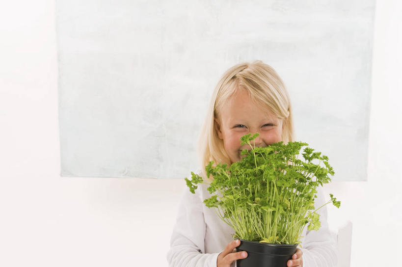 西方人,儿童,一个人,站,捧,笑,微笑,横图,室内,白天,正面,纯洁,窗户,芹菜,蔬菜,花瓶,欧洲,欧洲人,仅一个女性,仅一个人,阴影,服装,朦胧,模糊,新鲜,反射,影子,陶瓷,墙,食品,陶瓷制品,注视,休闲装,玻璃窗,墙壁,墙面,食物,小孩,衣服,白色,瓶子,观察,看,站着,仅一个小孩,休闲,休闲服,可爱,童年,童趣,服饰,有机食品,绿色食品,荷兰芹,欧芹,香芹,观看,察看,关注,童真,烂漫,无邪,法香,巴西利,洋香菜,洋芫荽,法国香菜,旱芹菜,番荽,天真,女孩,女人,女性,白种人,孩子,端,端着,捧着,手捧,站立,半身,彩图,女生