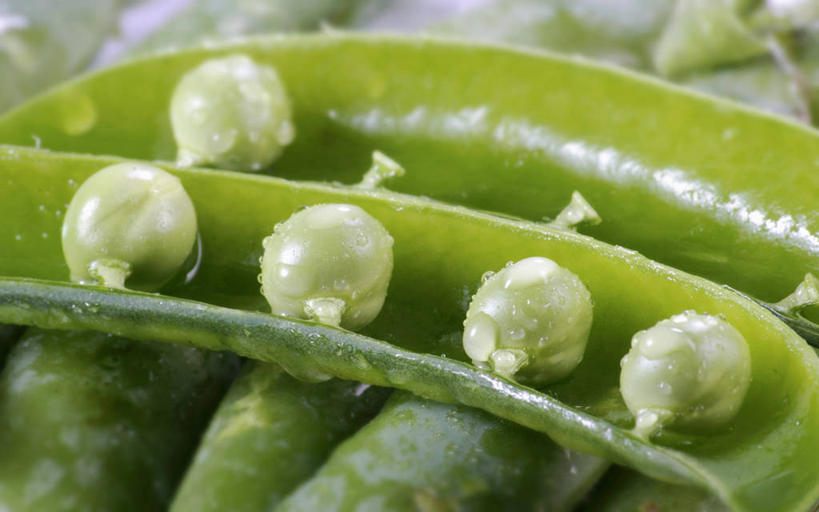 无人,横图,俯视,室内,特写,白天,植物,桌面,桌子,蔬菜,一堆,许多,阴影,堆叠,堆积,朦胧,模糊,新鲜,反射,木制,影子,豆类,豆子,豌豆,食品,很多,荷兰豆,食物,木制品,有机食品,绿色食品,堆,雪豆,豆科,寒豆,毕豆,麻累,国豆,小寒豆,麦豌豆,彩图,高角度拍摄