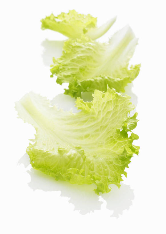 无人,竖图,俯视,室内,特写,白天,白色背景,植物,桌面,桌子,蔬菜,叶子,阴影,新鲜,反射,木制,纹理,影子,生菜,莴苣,食品,绿叶,食物,绿色,木制品,嫩叶,摄影,有机食品,绿色食品,影棚,肌理,春菜,鹅仔菜,莴仔菜,千金菜,叶用莴苣,叶,叶片,叶脉,彩图,高角度拍摄,影棚拍摄,拍摄