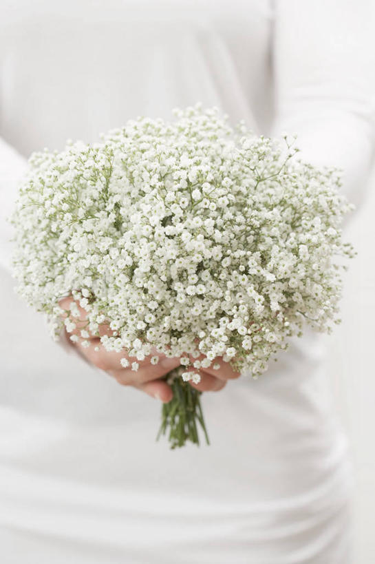 西方人,手,一个人,站,捧,竖图,室内,特写,白天,白色背景,正面,餐桌,桌子,欧洲,欧洲人,双手,仅一个年轻女性,仅一个女性,仅一个人,阴影,服装,盛开,反射,影子,花蕾,休闲装,花,花瓣,花朵,鲜花,衣服,花苞,花蕊,站着,一束,休闲,手部,休闲服,摄影,服饰,影棚,餐台,年轻女性,女人,女性,白种人,端,端着,捧着,手捧,站立,半身,彩图,影棚拍摄,拍摄