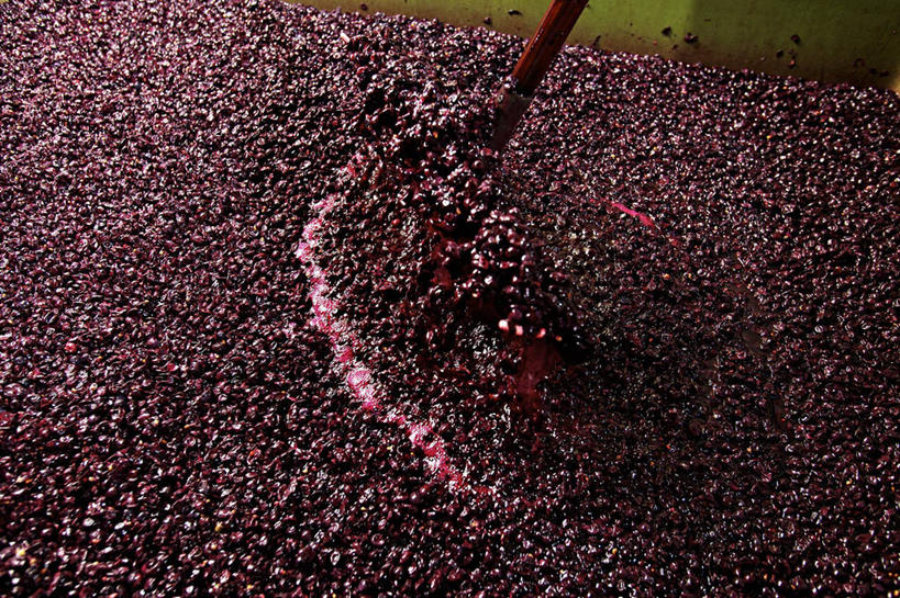 红酒,葡萄酒,无人,横图,俯视,室内,特写,白天,葡萄,水果,一堆,许多,阴影,堆叠,堆积,新鲜,反射,影子,勺子,生食,食品,果实,酒类,酒,食物,饮料,一个,红色,调羹,汤匙,红葡萄酒,摄影,有机食品,绿色食品,影棚,单个,堆,山葫芦,蒲桃,草龙珠,彩图,高角度拍摄,影棚拍摄,拍摄