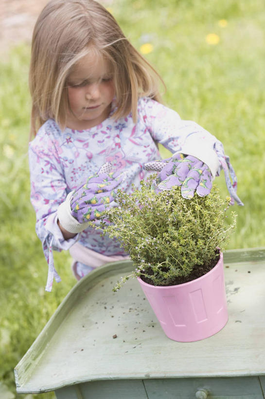 西方人,儿童,一个人,站,竖图,俯视,室外,白天,纯洁,安全,草地,草坪,植物,欧洲,欧洲人,仅一个女性,仅一个人,握,阴影,服装,芳香,光线,盆栽,影子,防护,盆景,注视,休闲装,草,小孩,衣服,绿色,阳光,自然,手套,香草,低头,观察,看,站着,仅一个小孩,休闲,休闲服,可爱,童年,童趣,握着,服饰,生长,成长,观看,保护,吉祥,百里香,麝香草,察看,关注,保险,童真,烂漫,无邪,如意,勇气,保全,周全,安稳,安定,勇敢,防护手套,地椒,自尊,不屈,平安,天真,女孩,女人,女性,白种人,孩子,站立,半身,彩图,高角度拍摄,女生