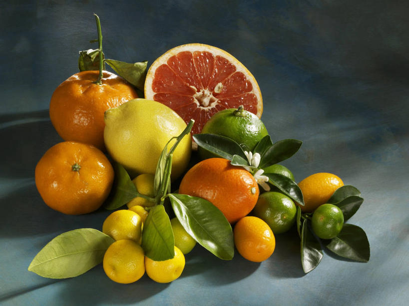 无人,横图,俯视,室内,特写,白天,餐桌,桌子,柑橘,柠檬,水果,叶子,一堆,许多,阴影,堆叠,堆积,灰色背景,新鲜,反射,影子,生食,食品,果实,绿叶,食物,黄色,绿色,橙色,嫩叶,摄影,有机食品,绿色食品,影棚,餐台,堆,酸橙,代代,叶,叶片,益母果,柠果,橘子,桔子,橙子,橙,彩图,高角度拍摄,影棚拍摄,拍摄