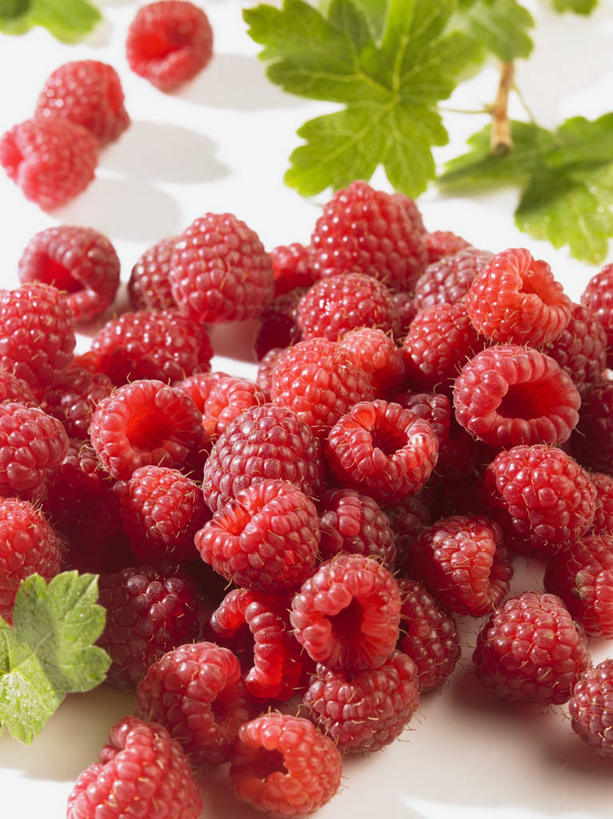 无人,竖图,俯视,室内,特写,白天,白色背景,餐桌,桌子,水果,叶子,一堆,许多,阴影,堆叠,堆积,新鲜,反射,影子,生食,食品,果实,绿叶,很多,食物,红色,嫩叶,摄影,有机食品,绿色食品,影棚,餐台,堆,山莓,树莓,三月泡,四月泡,山抛子,刺葫芦,悬钩子,馒头菠,高脚菠,龙船泡,泡儿刺,叶,叶片,彩图,高角度拍摄,影棚拍摄,拍摄