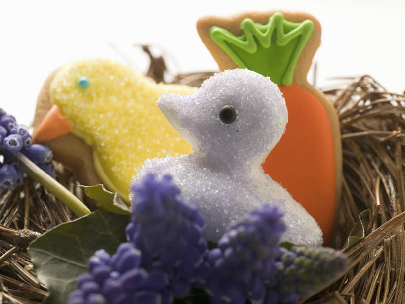 点心,无人,横图,俯视,室内,特写,白天,白色背景,餐桌,桌子,鸡,萝卜,胡萝卜,复活节,阴影,节日,庆祝,装饰,反射,雕刻,鸟巢,影子,食品,曲奇,文化,食物,饼干,零食,庆典,摄影,影棚,餐台,纪念,华丽,修饰,点缀,曲奇饼,曲奇饼干,衬托,美观,雅致,雅观,雕镂,雕琢,镌刻,红萝卜,甘荀,彩图,高角度拍摄,影棚拍摄,拍摄