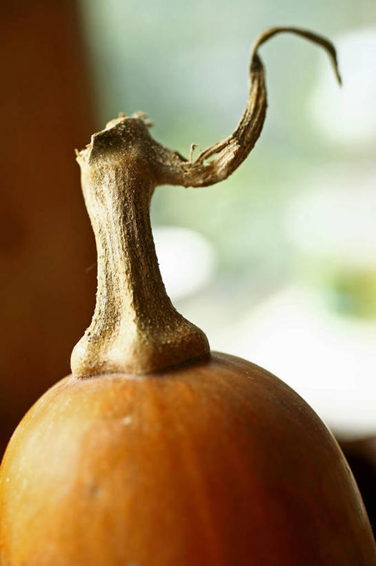 无人,竖图,俯视,室内,特写,白天,桌面,桌子,南瓜,蔬菜,阴影,朦胧,模糊,新鲜,反射,木制,影子,金瓜,食品,番瓜,食物,一个,黄色,木制品,有机食品,绿色食品,单个,麦瓜,倭瓜,彩图,高角度拍摄