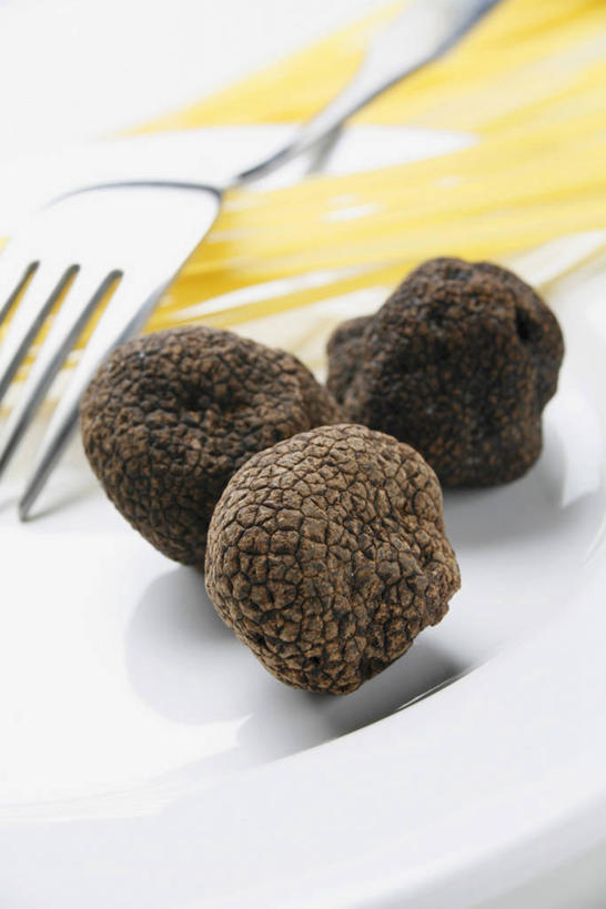 面食,面条,意大利面,无人,竖图,俯视,室内,特写,白天,西餐,餐桌,桌子,蔬菜,餐具,三块,阴影,新鲜,反射,叉子,碟子,盘,影子,菌菇,面,料理,食品,松露,菌类,食物,一个,盘子,碟,食用菌,西式,摄影,有机食品,绿色食品,影棚,单个,餐台,餐叉,黑松露,进餐用具,彩图,高角度拍摄,影棚拍摄,拍摄