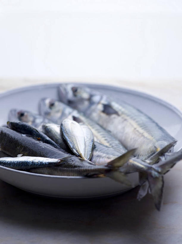 海鲜,无人,竖图,俯视,室内,特写,白天,白色背景,桌面,桌子,一堆,许多,阴影,堆叠,堆积,反射,木制,影子,陶瓷,陶瓷制品,鲭鱼,水产,海洋生物,一个,木制品,容器,碗,摄影,影棚,单个,储藏,堆,花池鱼,花鲱,花鳀,青花鱼,鲐鲅鱼,油胴鱼,储存,水生动物,海产品,水生物,海底动物,彩图,高角度拍摄,全身,影棚拍摄,拍摄,贮存