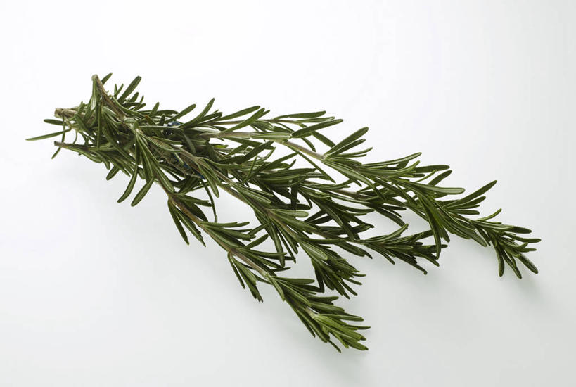 无人,横图,俯视,室内,特写,白天,白色背景,桌面,桌子,叶子,一堆,许多,阴影,堆叠,堆积,反射,木制,影子,绿叶,木制品,嫩叶,摄影,影棚,堆,迷迭香,海洋之露,叶,叶片,彩图,高角度拍摄,影棚拍摄,拍摄