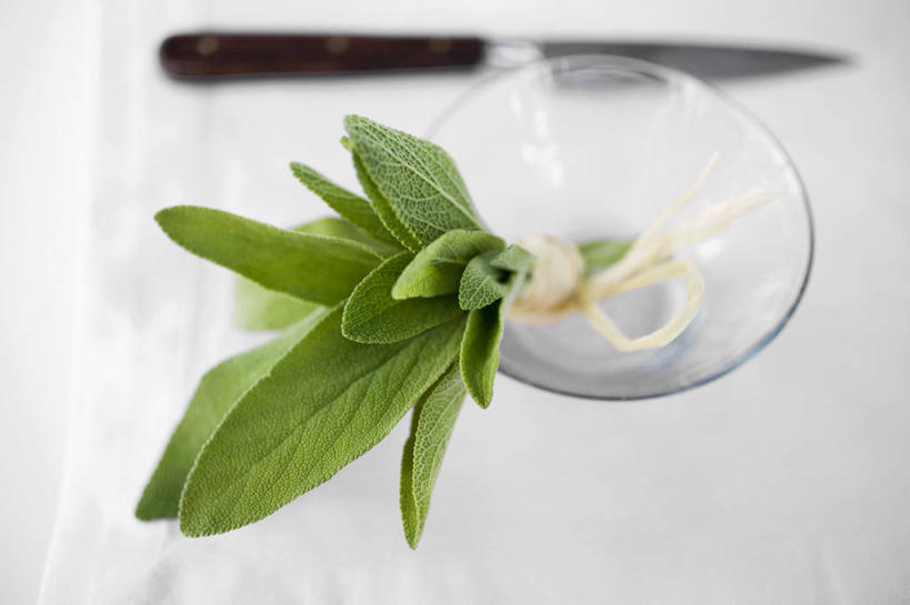 无人,家庭,横图,俯视,室内,特写,白天,白色背景,智慧,桌面,桌子,杯子,餐具,阴影,朦胧,模糊,反射,木制,纺织物,高脚杯,工具,影子,刀具,一杯,玻璃制品,酒杯,木制品,绳子,毛巾,刀,清洁,摄影,影棚,保暖,捆绑,绳索,鼠尾草,餐刀,透气,防水,理性,绑缚,鸡尾酒杯,储水,耐磨,吸水,玻璃杯,彩图,高角度拍摄,影棚拍摄,拍摄