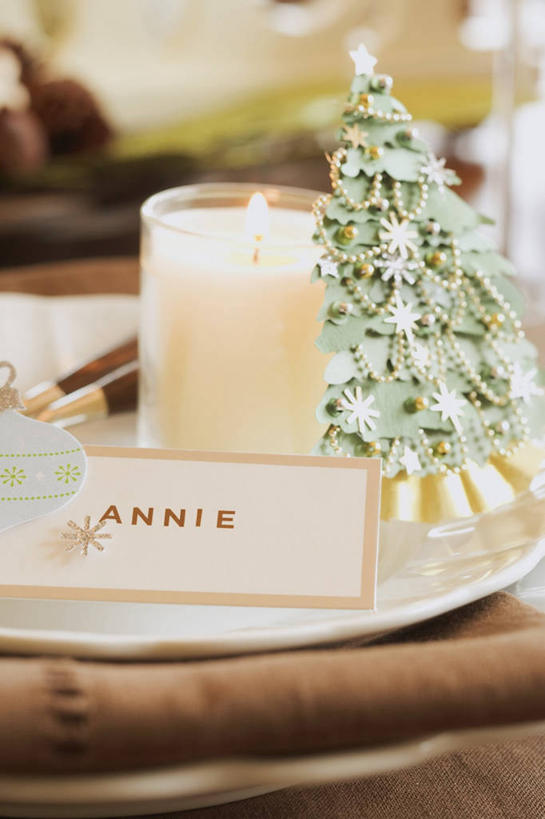 无人,竖图,俯视,室内,特写,白天,植物,餐桌,桌子,杯子,餐具,蜡烛,阴影,朦胧,模糊,反射,光线,英文,标志,碟子,火焰,盘,文字,影子,烛光,字符,字母,圣诞树,贺卡,燃烧,祝福,文化,标识,玻璃制品,树,树木,绿色,自然,盘子,卡片,水杯,碟,点燃,生长,成长,餐台,英文字母,礼仪,祝愿,玻璃杯,彩图,高角度拍摄